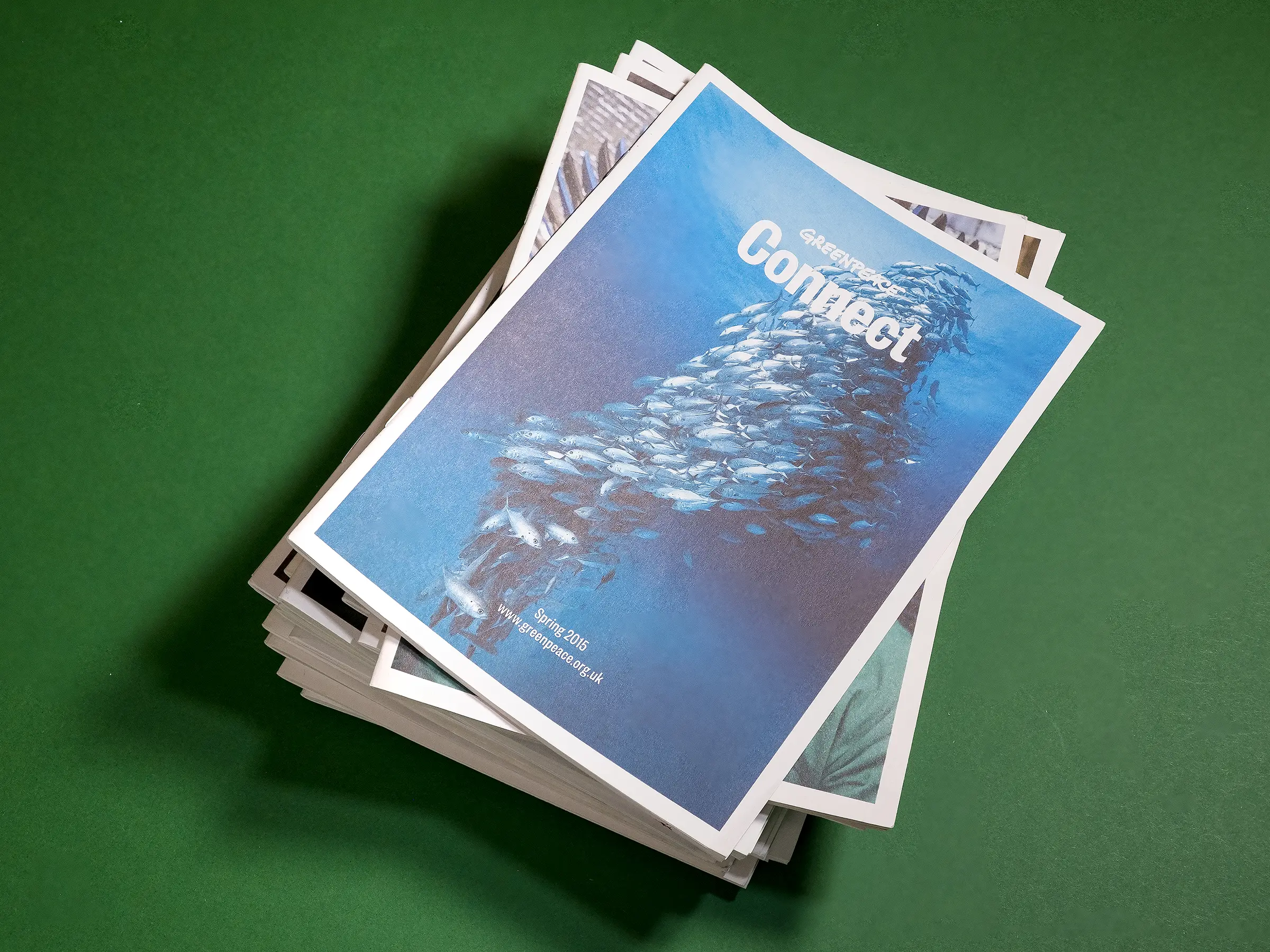 A pile of Connect magazines against a green background, with an image of a shoal of fish on the top of the pile.
